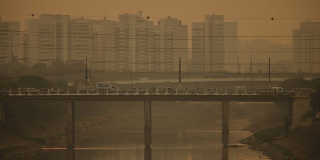 CMN muda regra do Eco Invest para impulsionar projetos verdes
