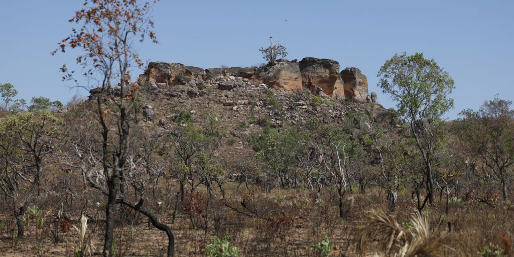 Pesquisa com IA identifica terras agrícolas abandonadas no Cerrado