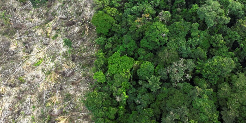 Crise climática é o pior desafio da história humana, diz cientista