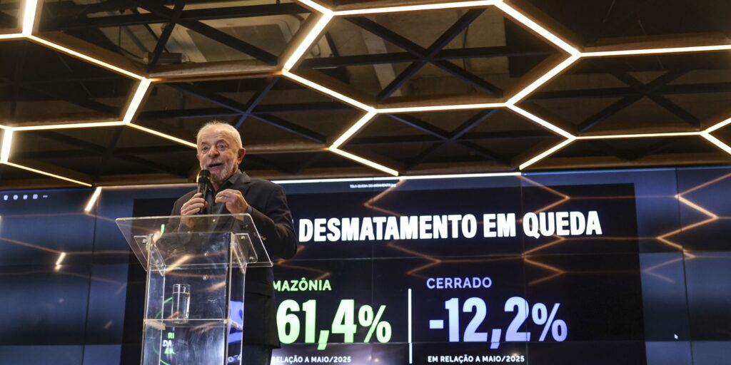Desmatamento na Amazônia cai 61,4% em maio de 2026