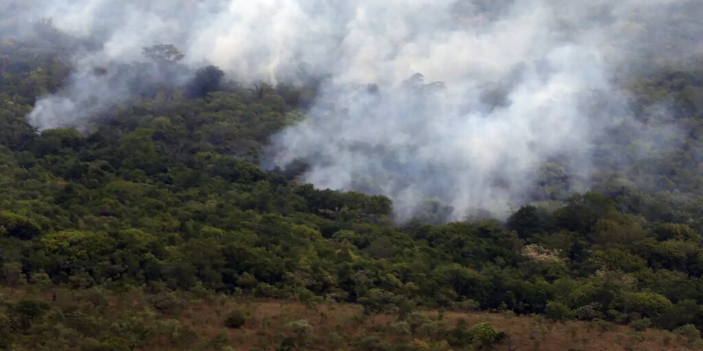 Copernicus: emissão global de gases por incêndios é a menor em 24 anos