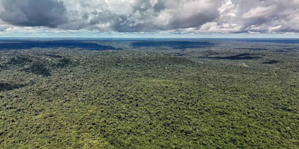 Reino Unido anuncia £400 milhões para Fundo Florestas Tropicais