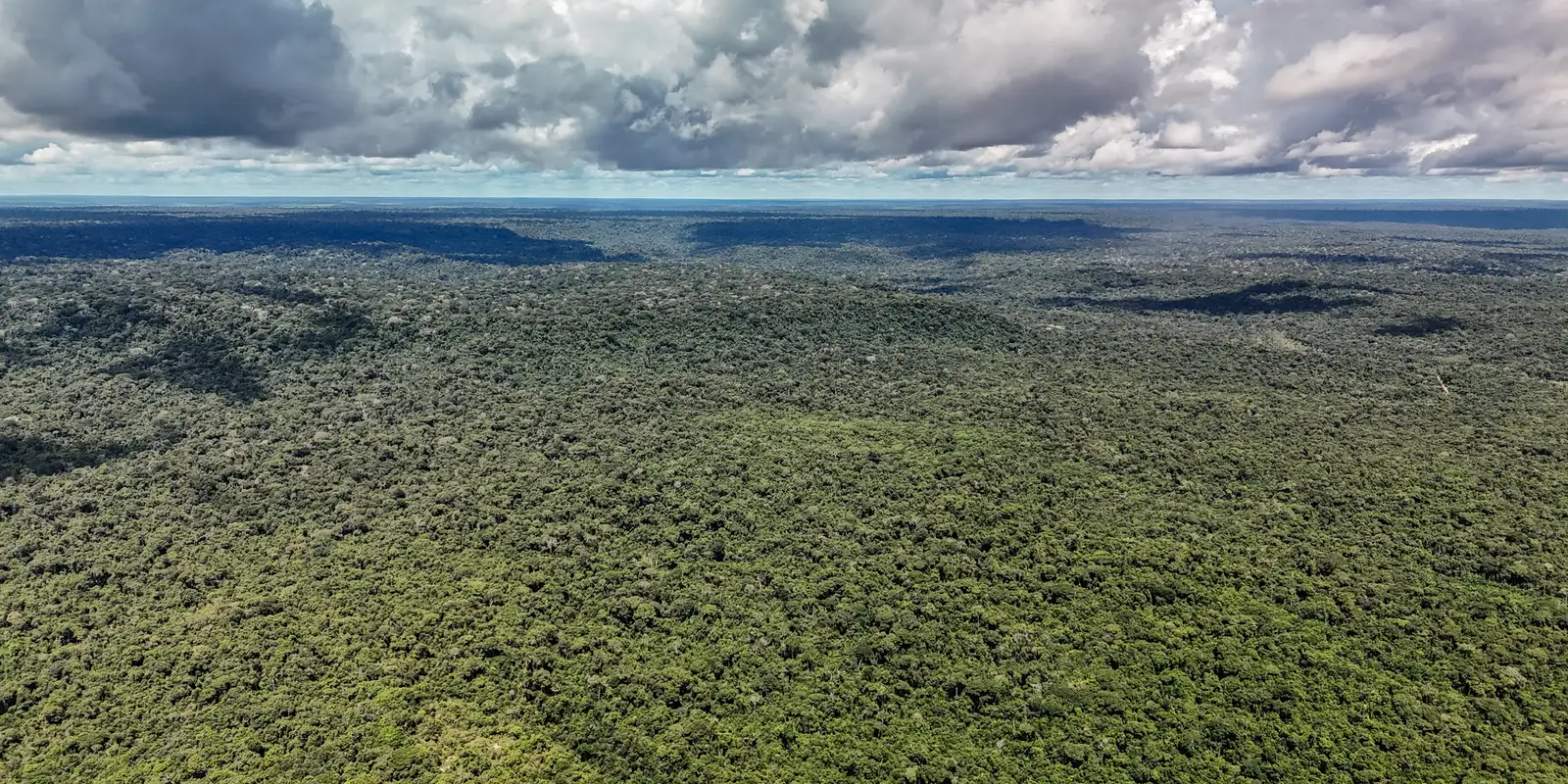 Reino Unido anuncia £400 milhões para Fundo Florestas Tropicais